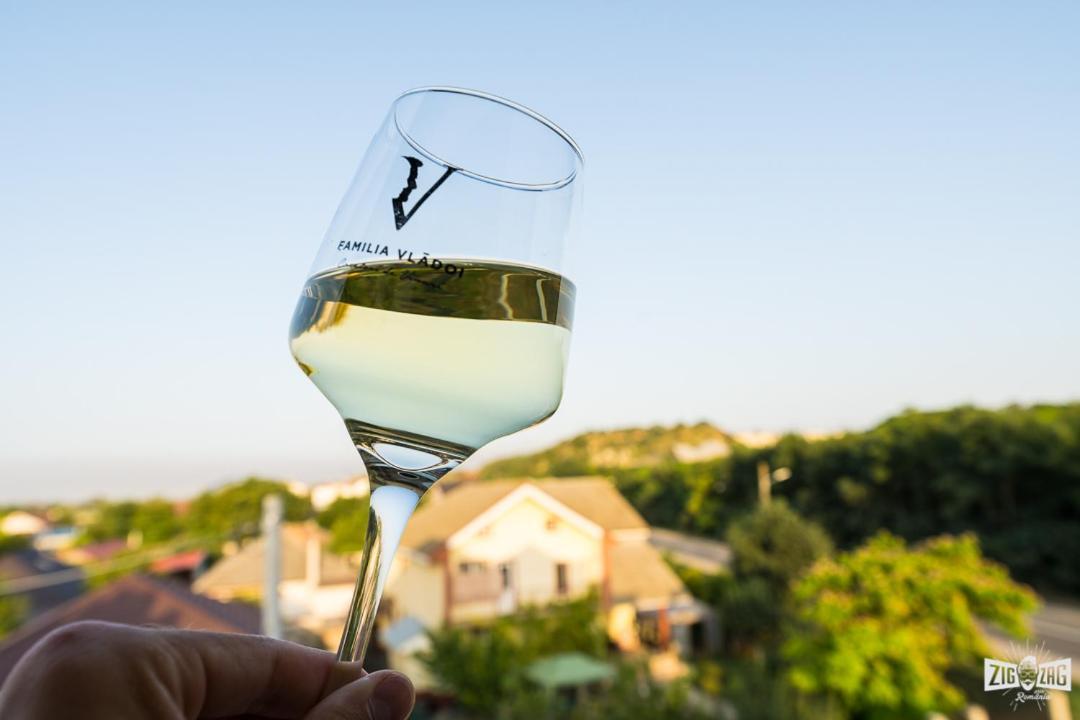 Casa Familia Vladoi Bed and Breakfast Murfatlar Buitenkant foto